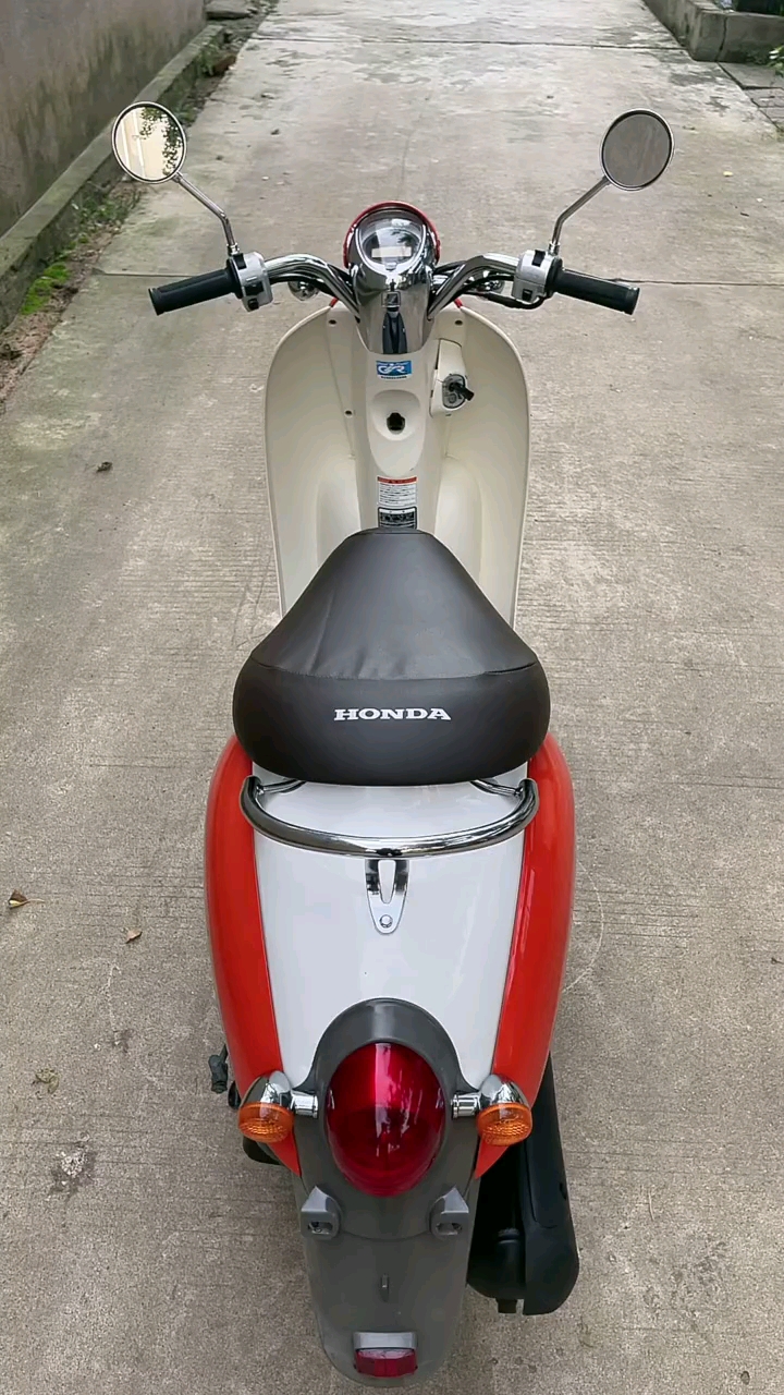 日本原装进口本田55期小龟