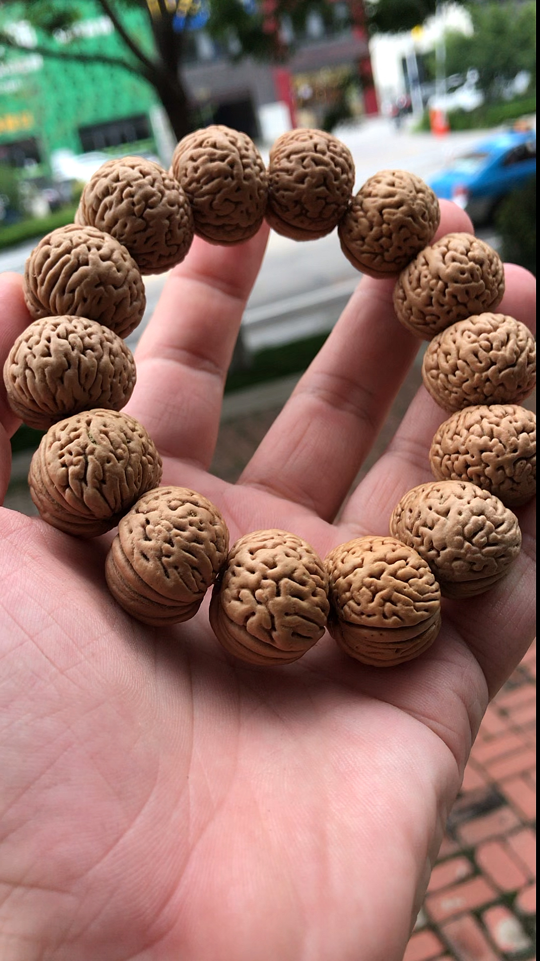 磨盘桃核!自然光拍摄