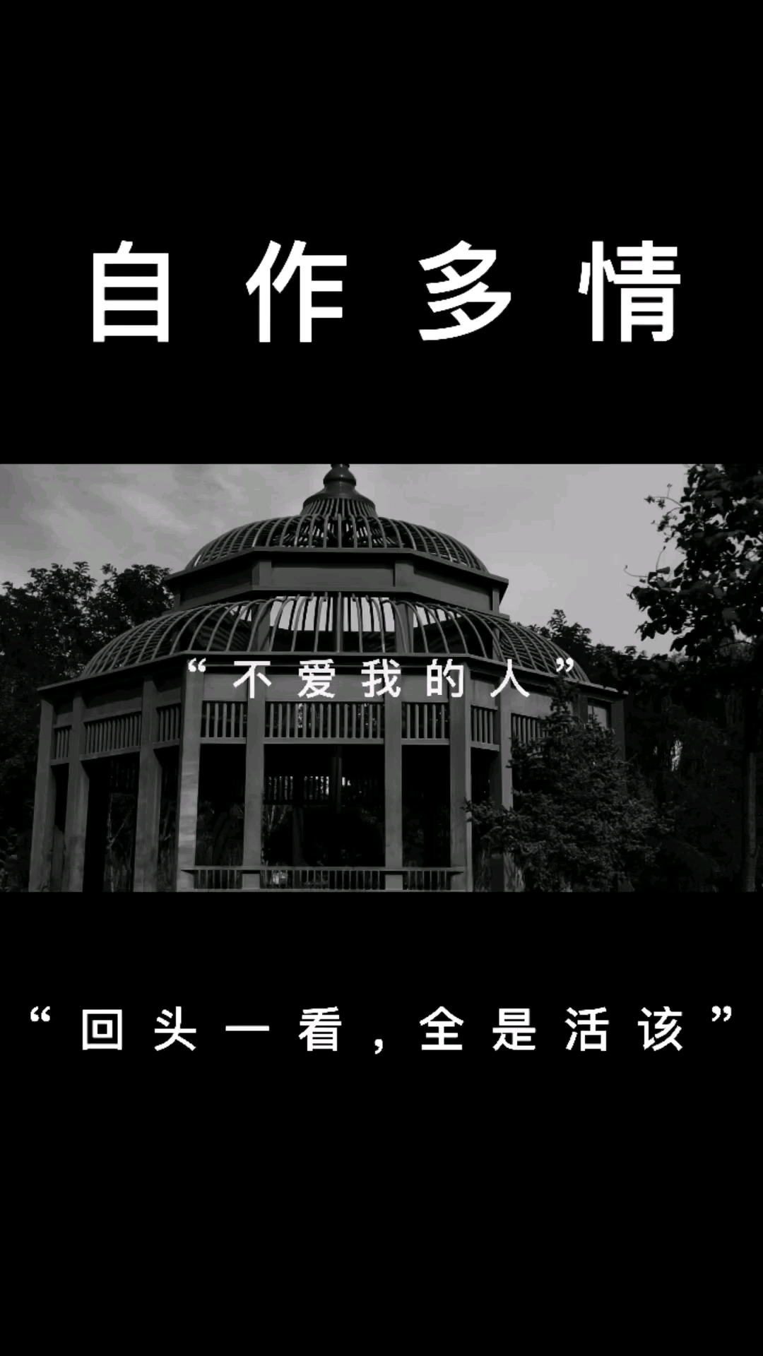 扎心情感文案我居然连一个不爱我的人都放不下