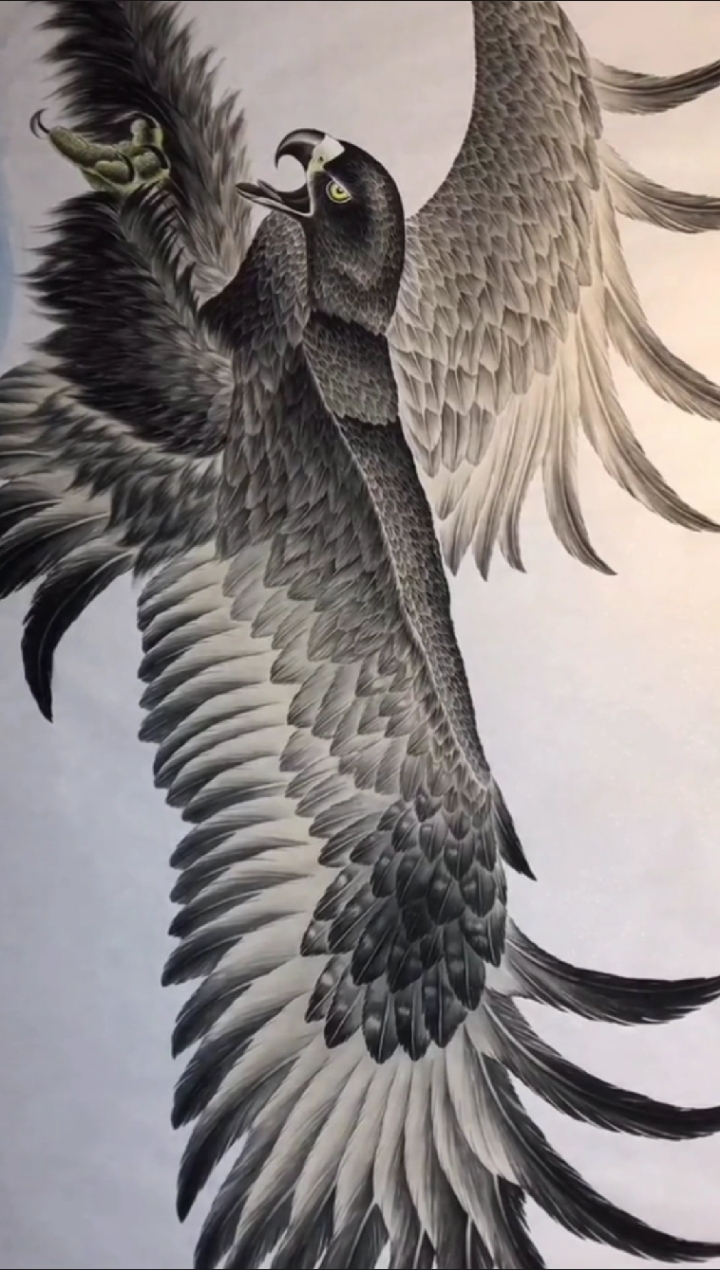 赵宏书画#大鹏展翅