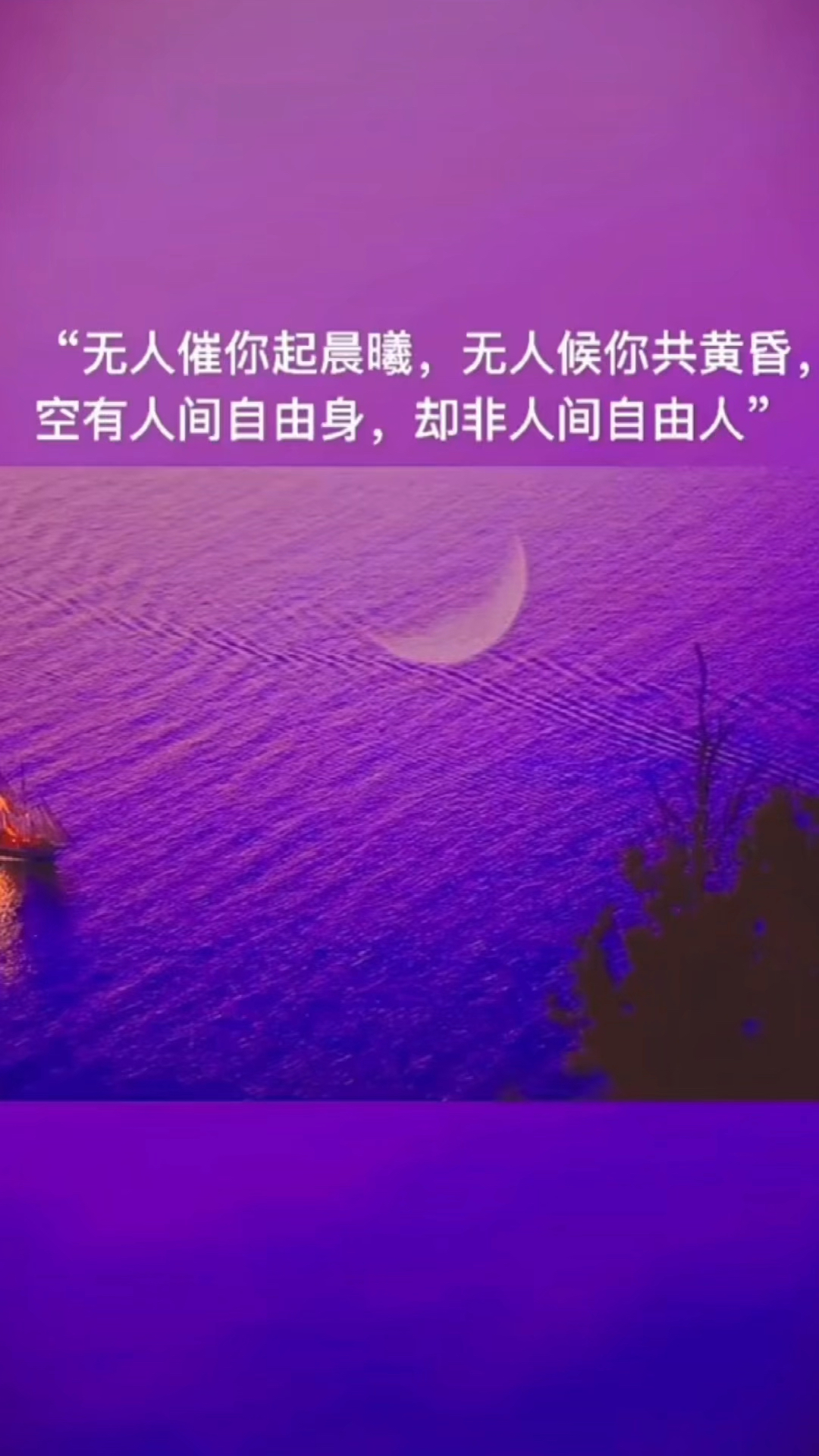 情感语录无人催你起晨曦无人候你共黄昏空有人间自由身却非人间自由人