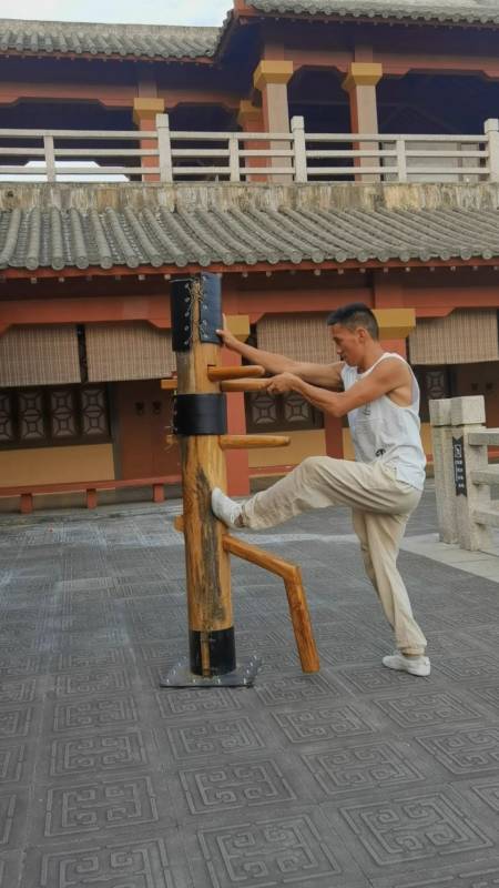 中华武术#咏春拳木人桩快而不乱