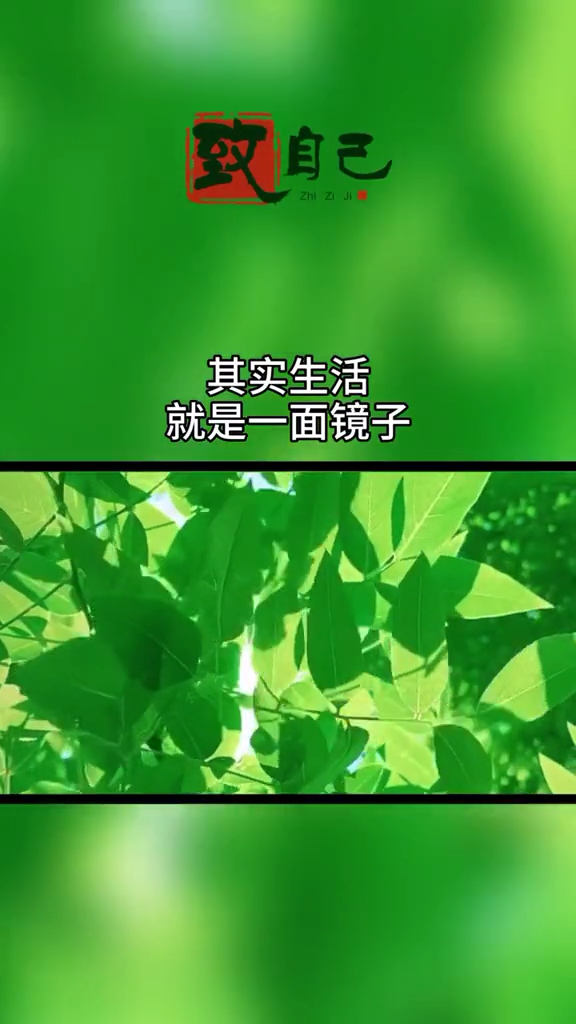 其实生活就是一面镜子,你的行为举止,决定了你人生的千姿百态