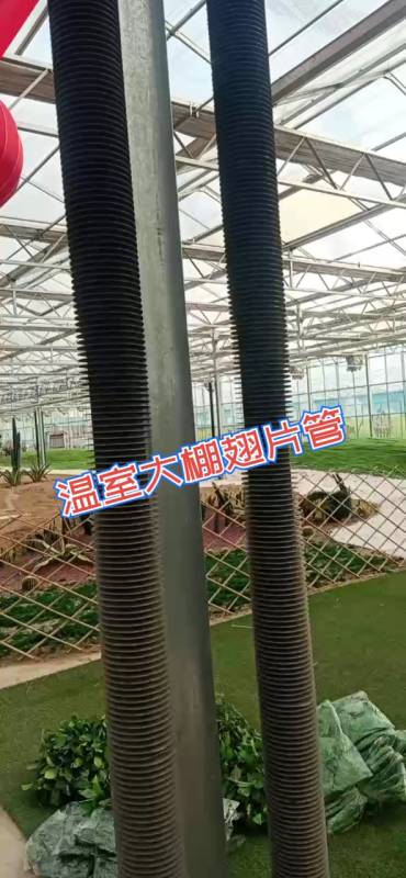 记录生活#温室大棚取暖用什么好-暖棚用什么加热-大棚加温用什么最