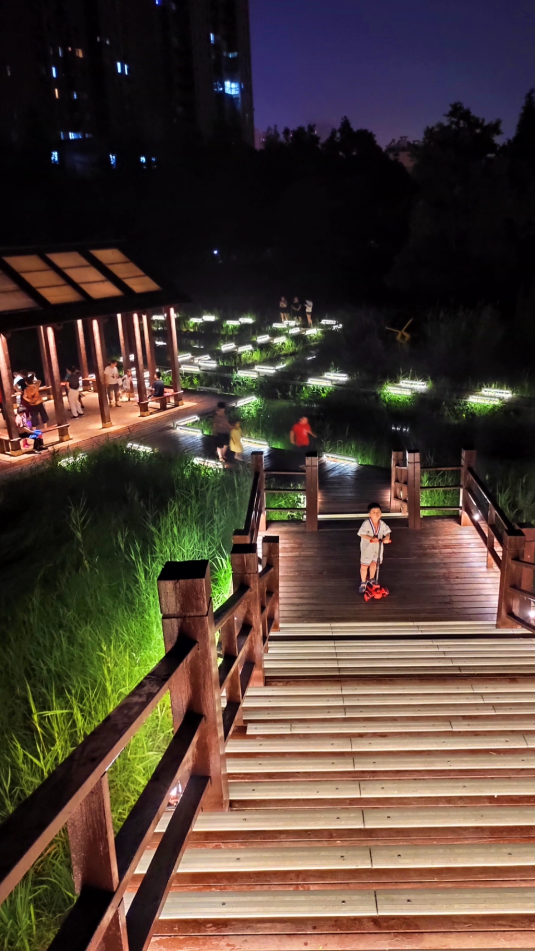 合肥#合肥四里河滨水湿地公园景观亮化,夜晚美如仙境