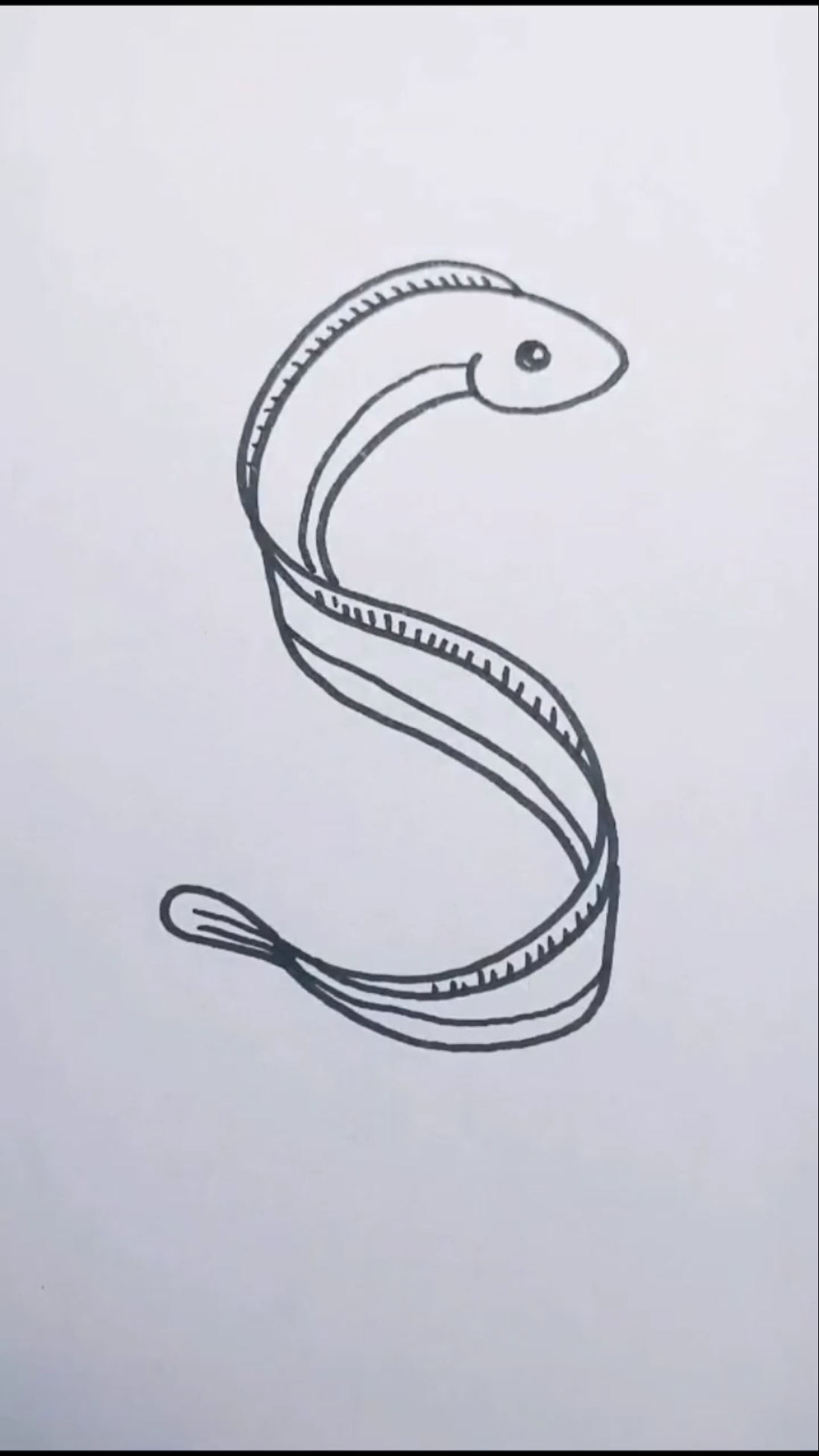 简笔画#李点点简笔画～两个s画带鱼,拿走哄娃真的很合适-度小视