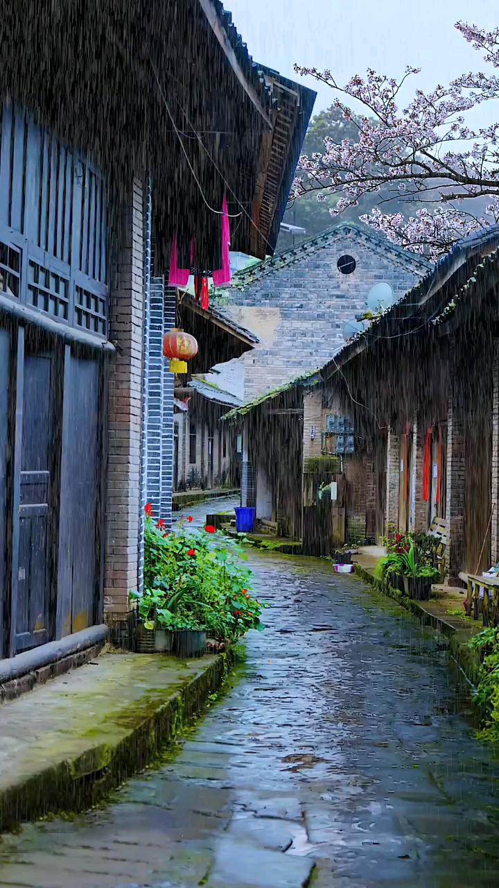 雨中江南小镇图片图片