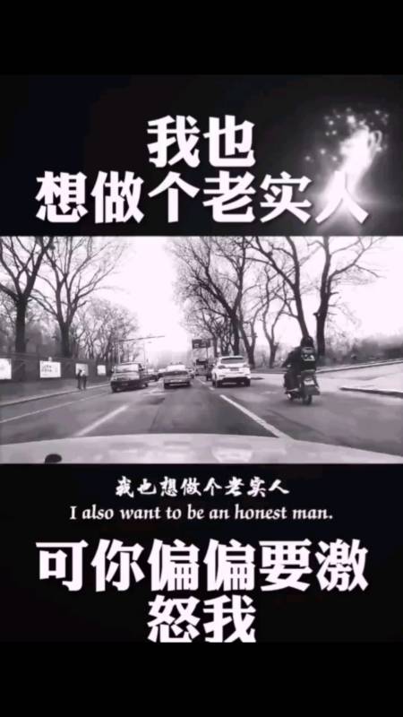 不一样的人生#我也想做个老实人.