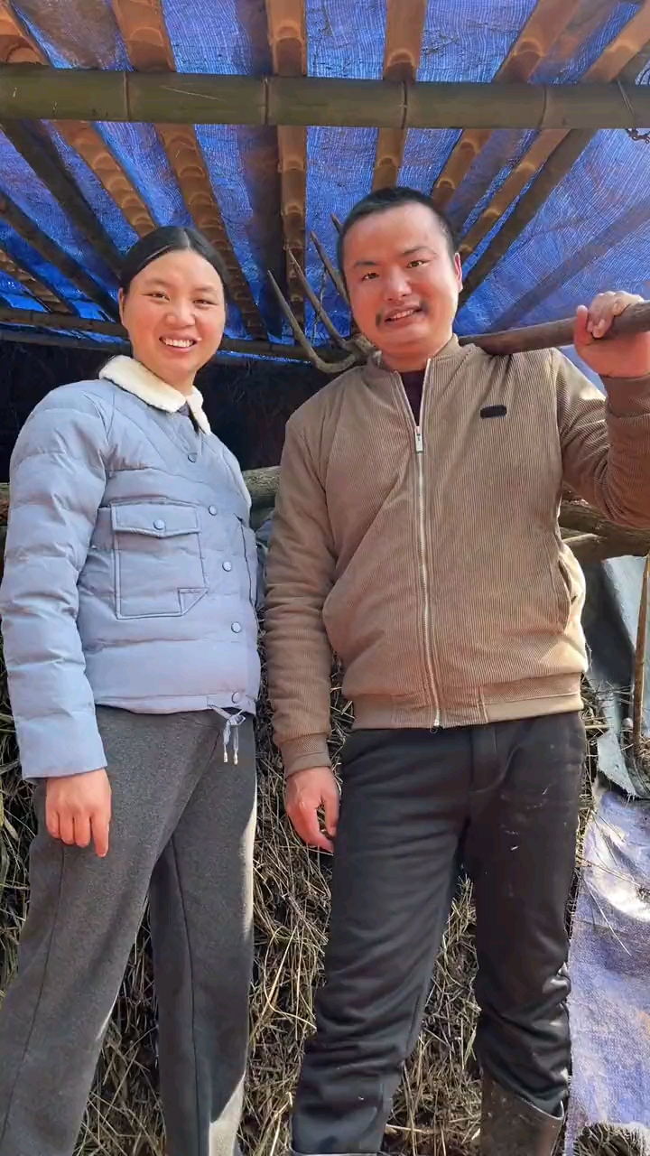 你喂牛来我喂猪简简单单和牛爱芳过日子