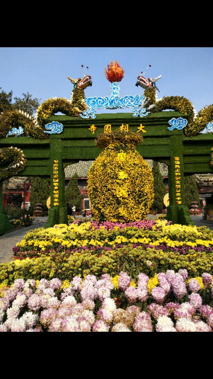 开封大相国寺菊花展多美