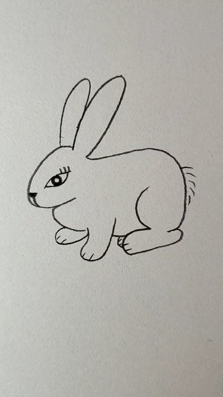 #画画原来如此简单#3画小白兔