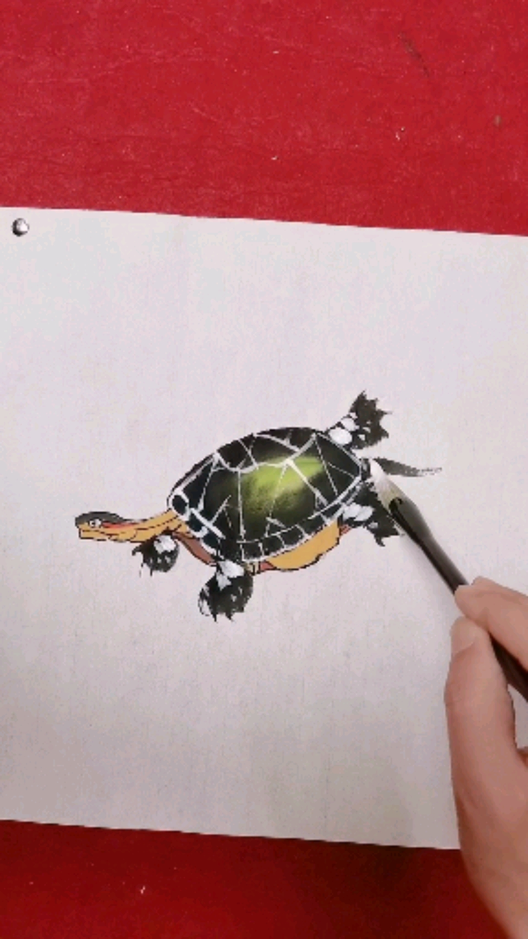 国画写意花鸟乌龟#教您画小乌龟