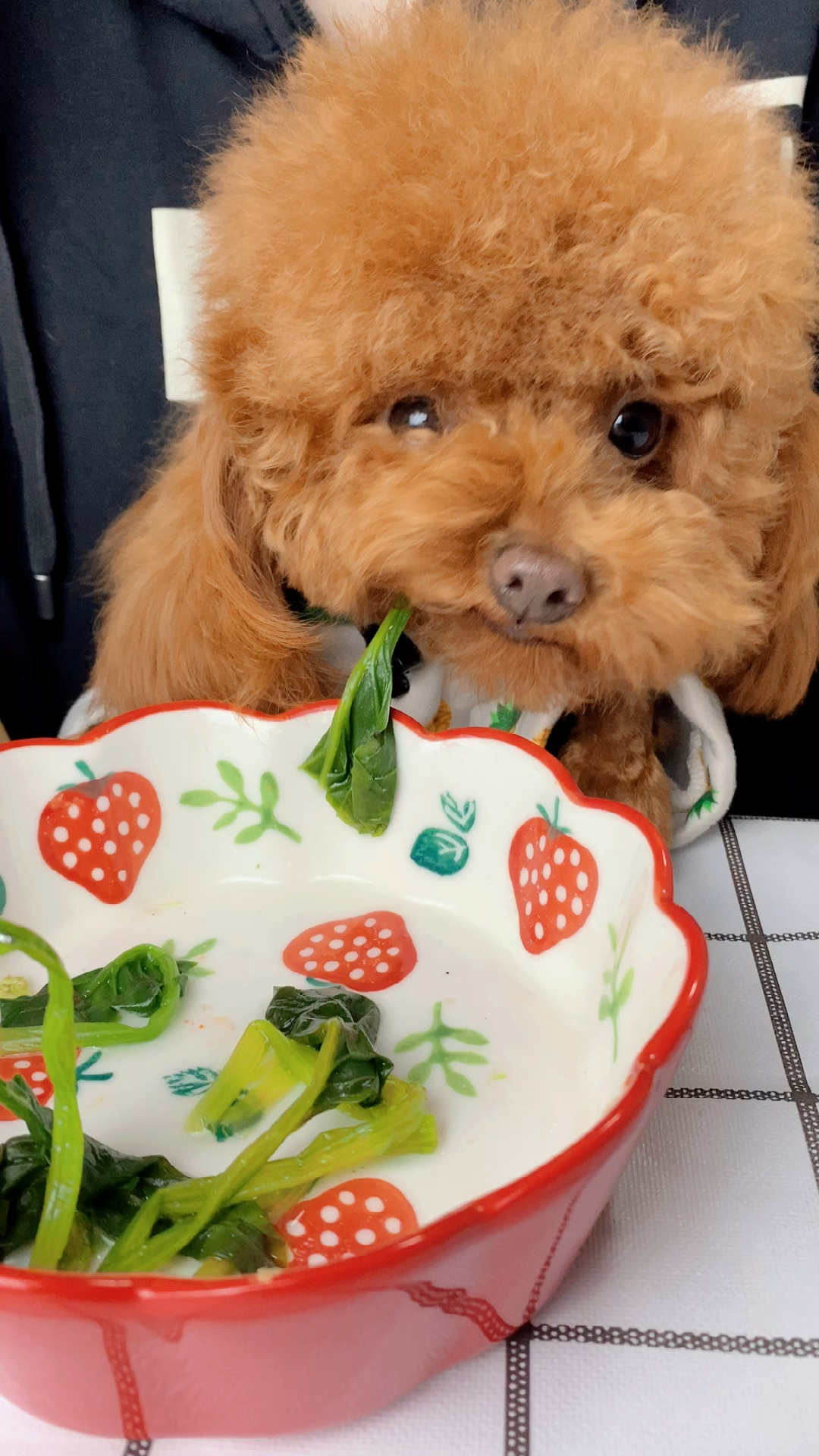 我家萌宠成精了#小宝吃菠菜的花絮,吃着费劲就使上劲了