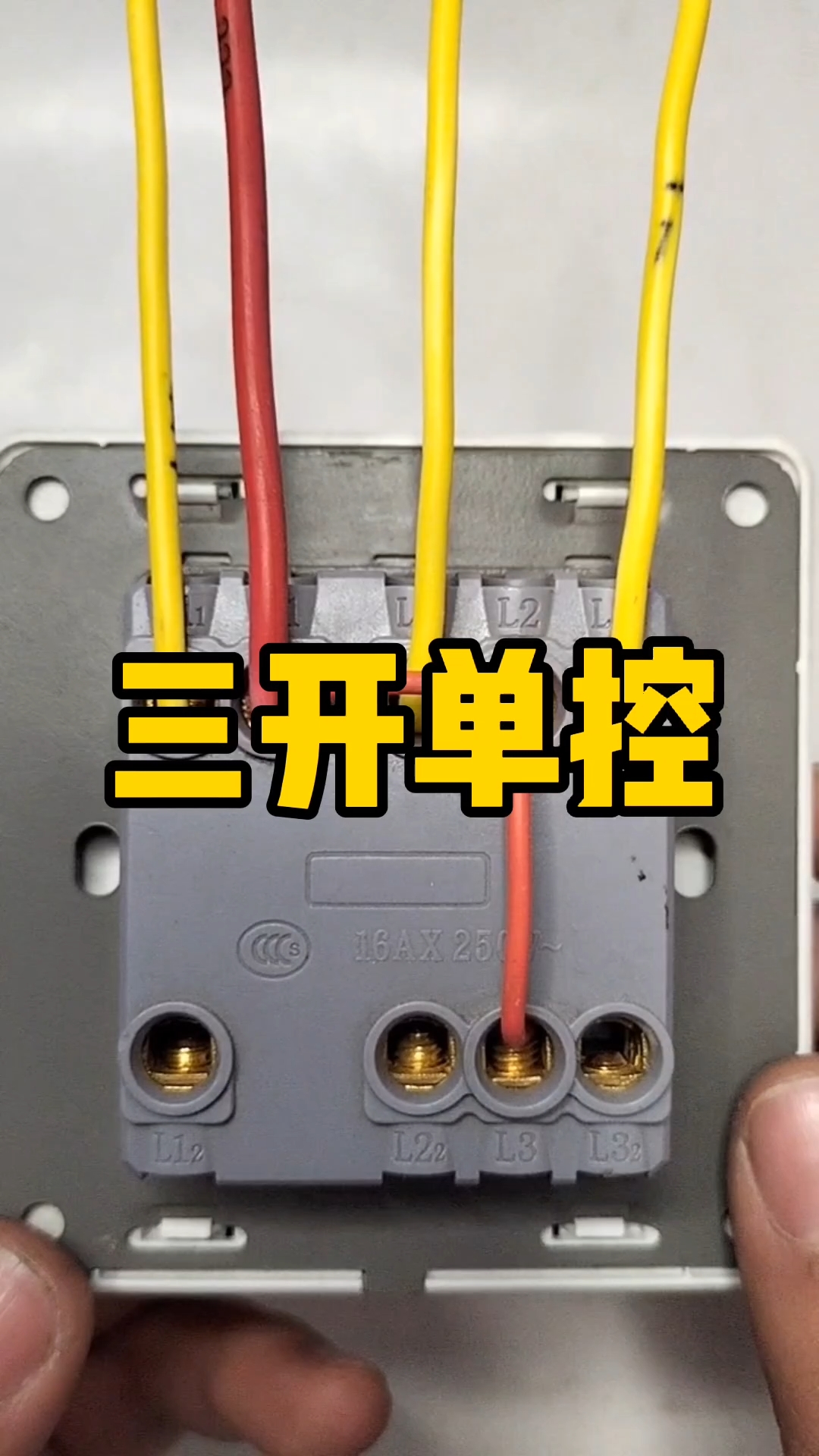 电工#三开单控怎么接线?