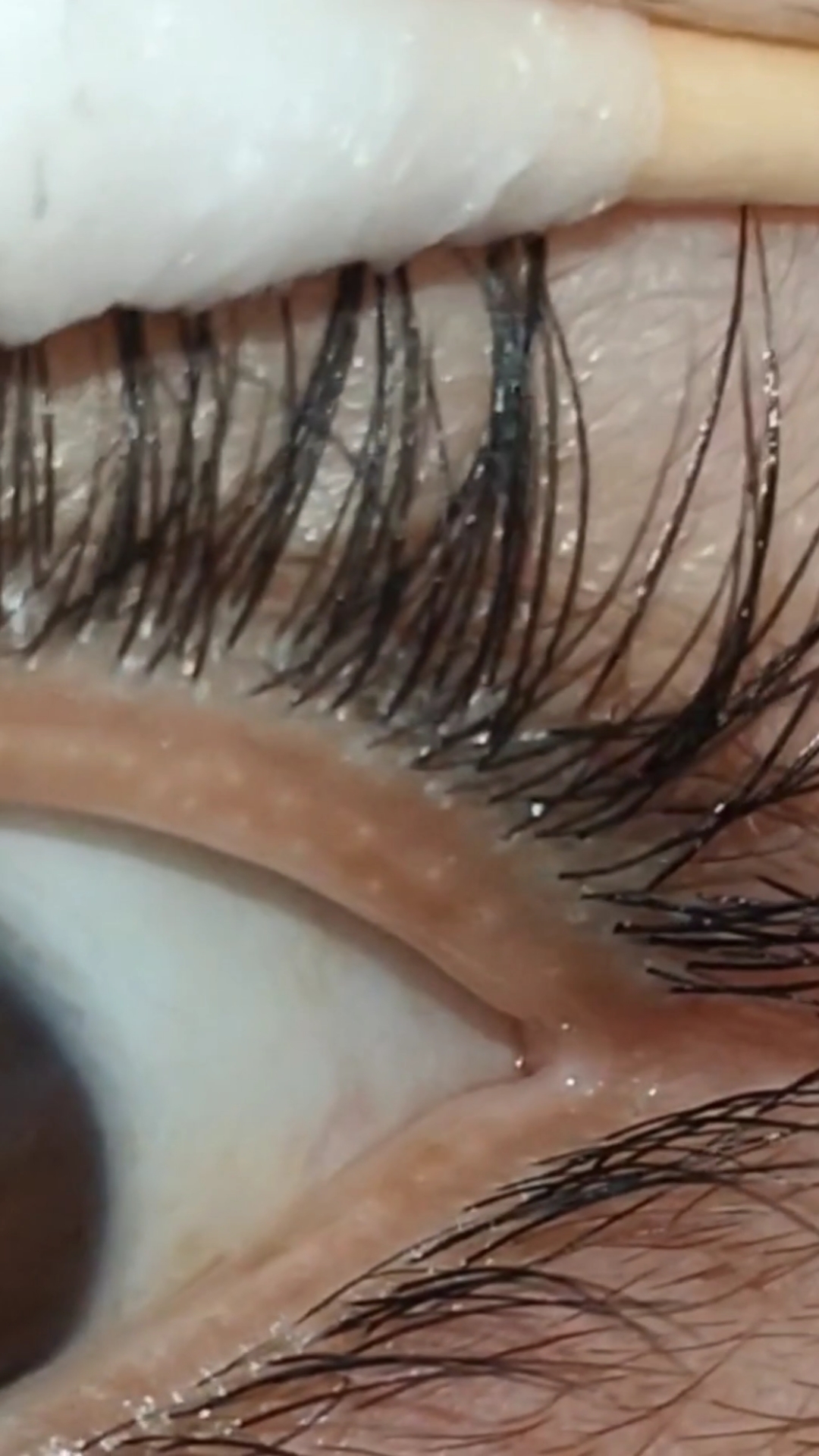 睫毛增长液#抹哪里长哪里,眼角都长出来了,证明笑果