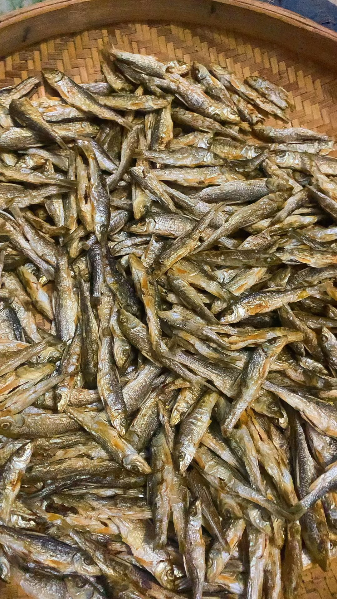 这种鱼小河里面也越来越多了,我敢说大部分人都不认识这些鱼吧!