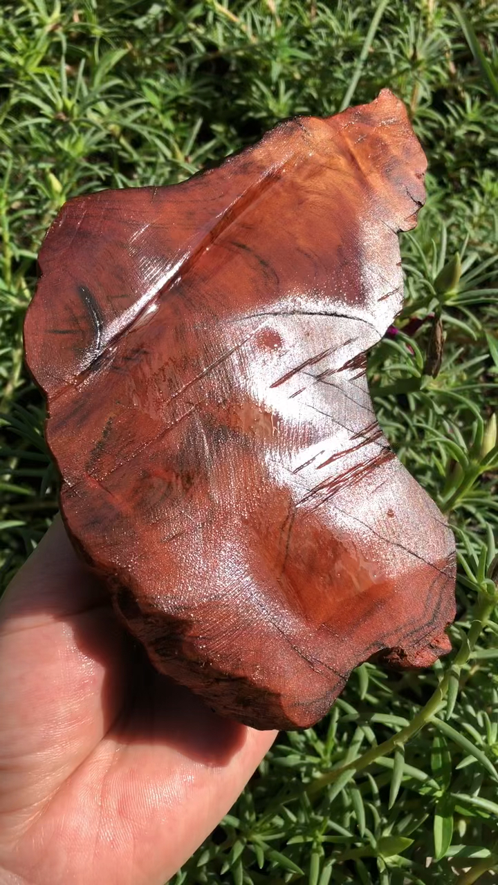 鱼缸造景沉木#紫柚沉木:木质纹理非常漂亮,干.湿,对比,观赏性十足