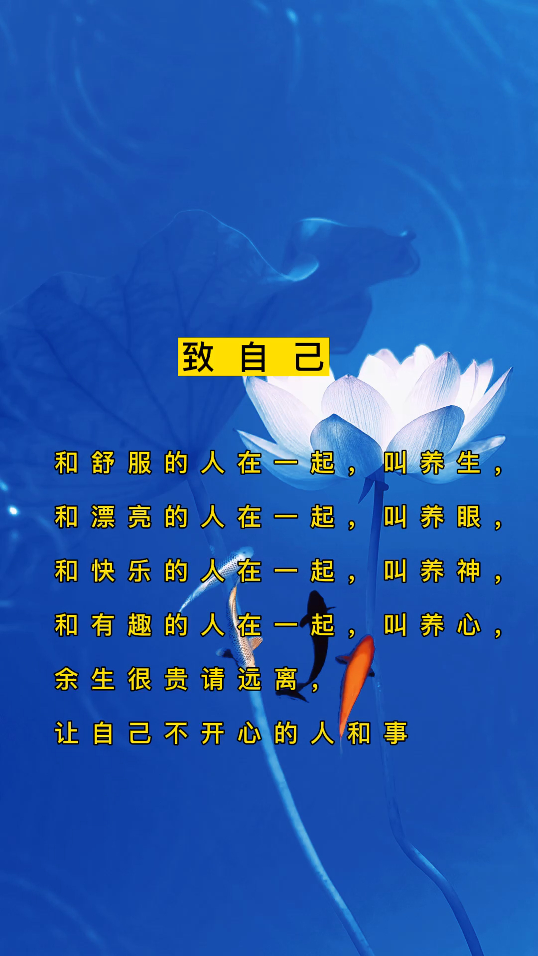 人生感悟#对自己好点,因为下辈子不可能再有自己.