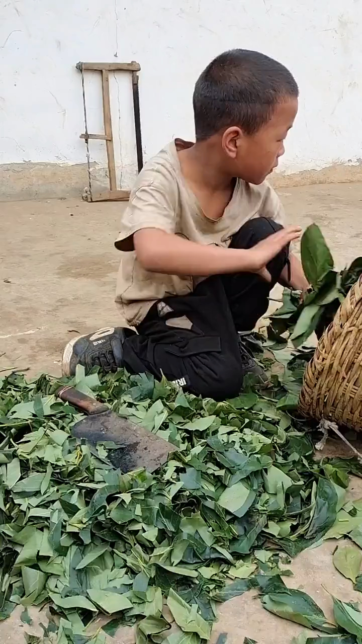 农村孩子割猪草喂猪,城市里的孩子没体会过吧!-度小视