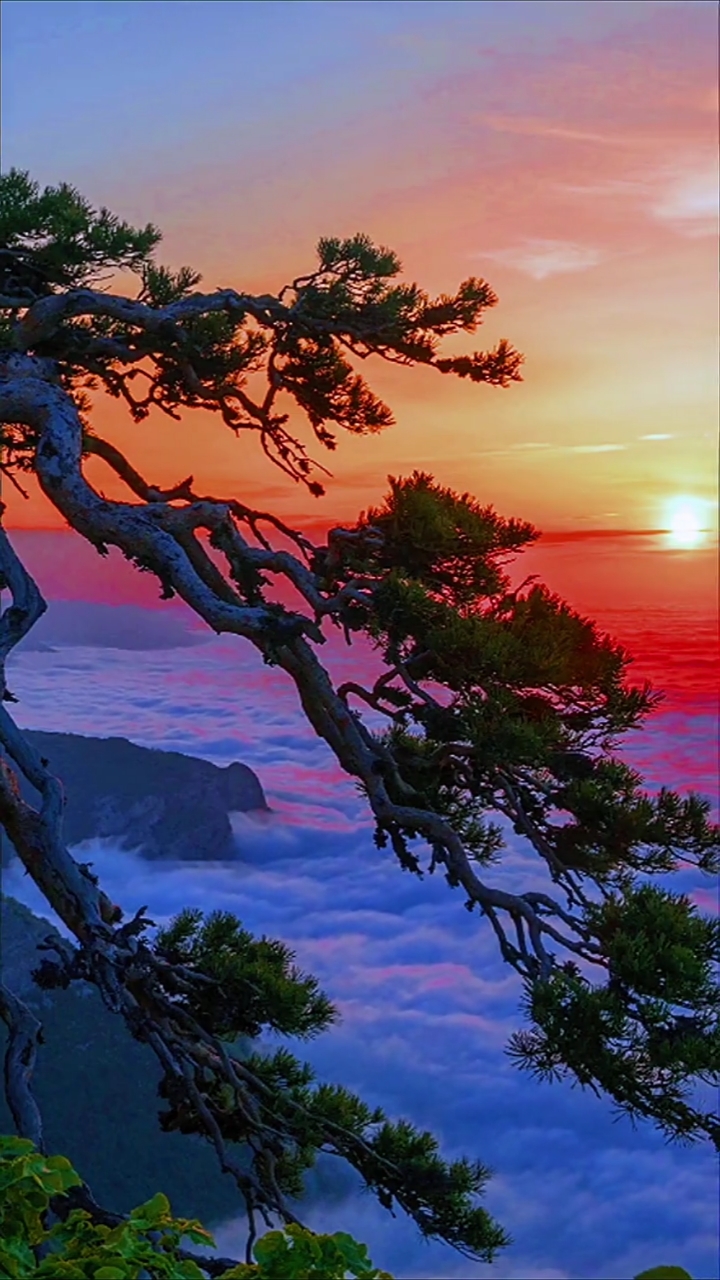 风景如画#如此仙境,愿见者好运!#每日风景