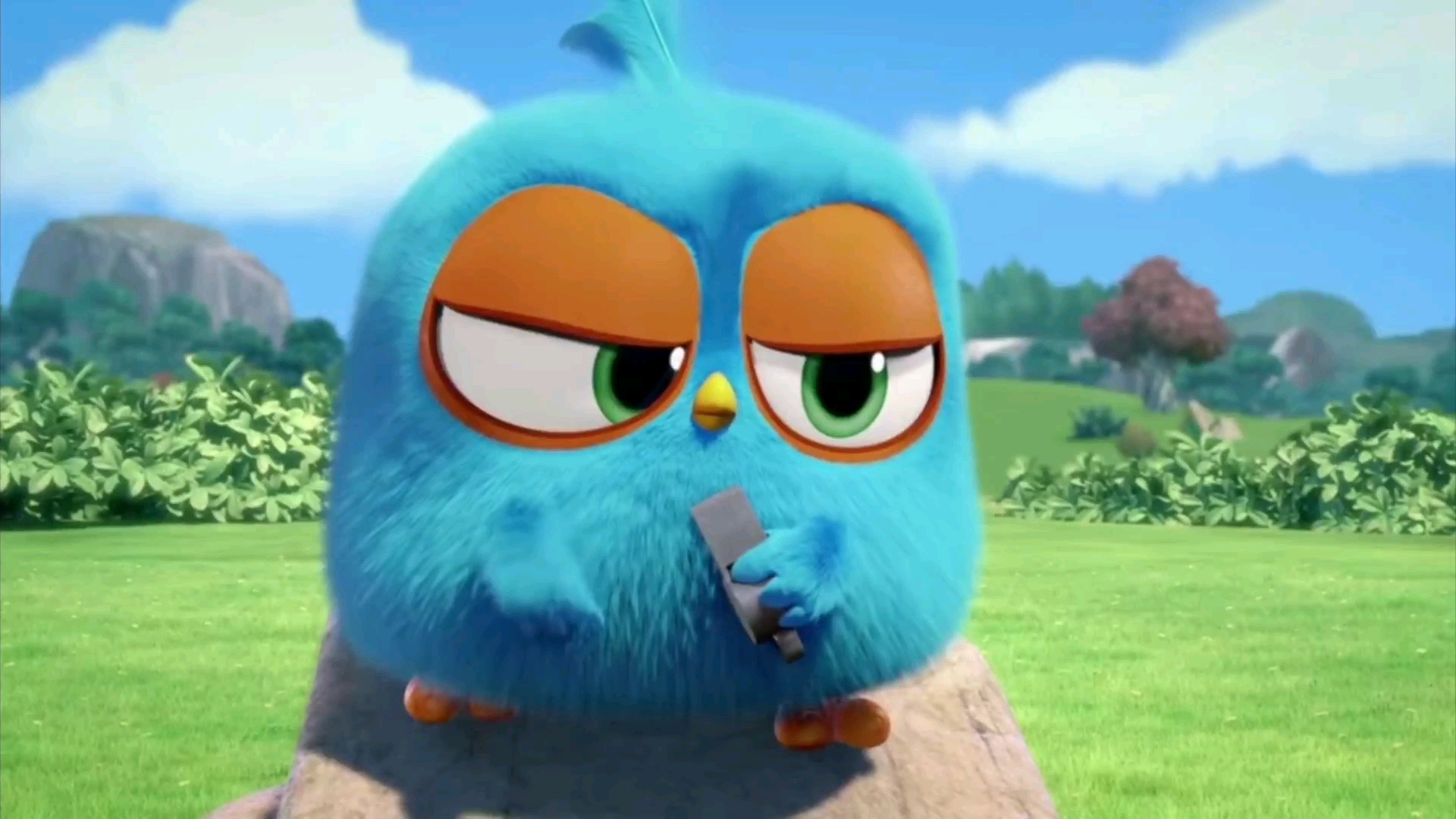 我要上热门#愤怒的小鸟配音