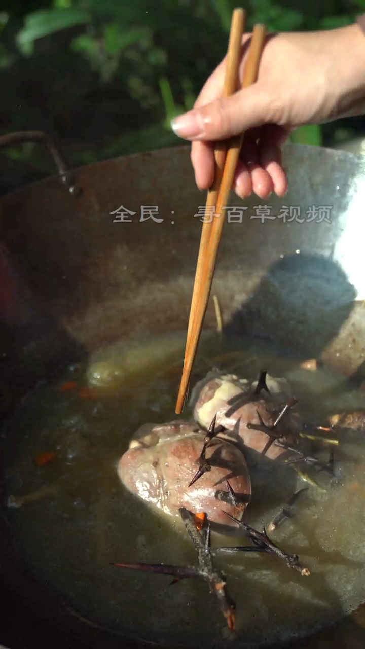 乡村生活#每个月都要吃几次的皂角刺扎猪心汤,你知道有什么用吗?