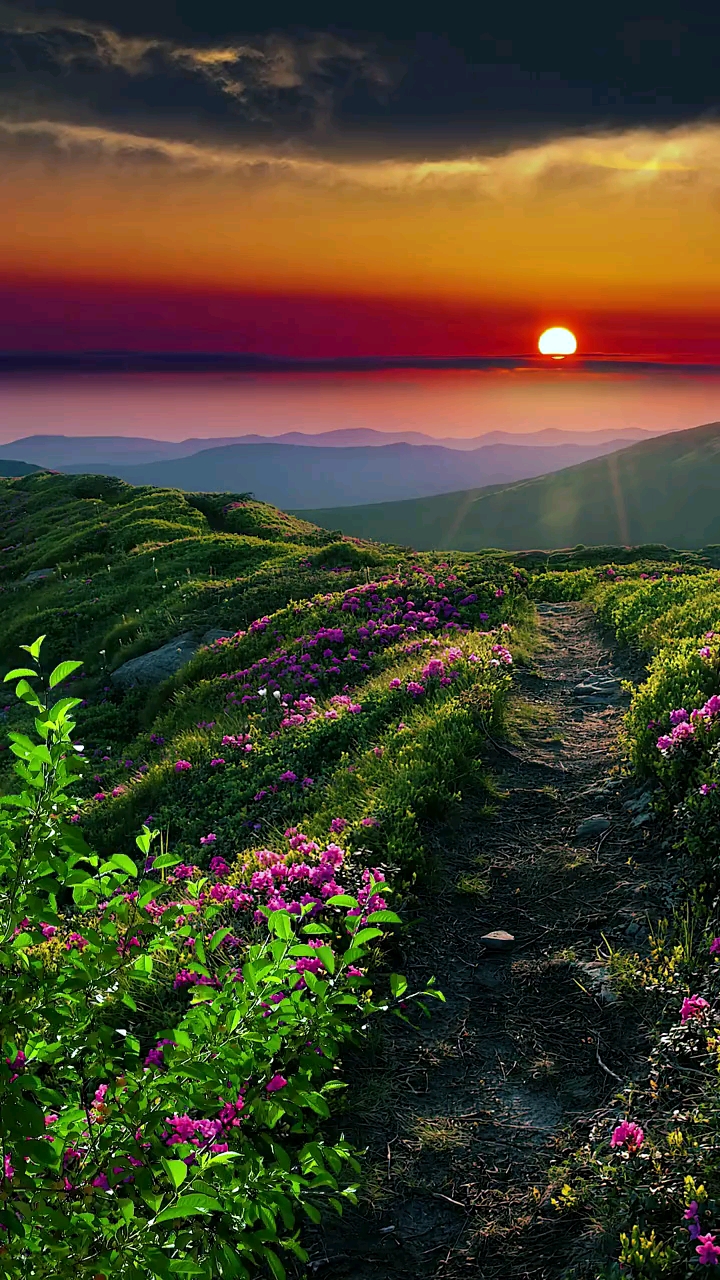 #唯美意境#那个时候就流行这些歌曲,怀念那个时候,没有什么圧力.但我