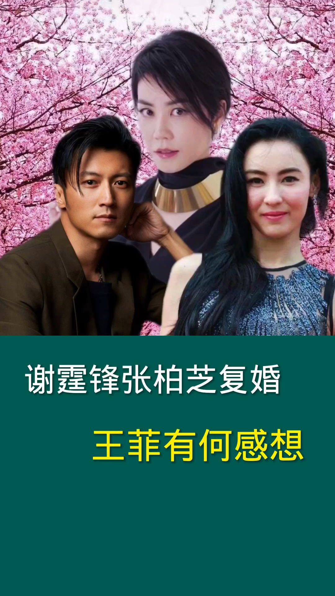 明星那些事.#谢霆锋张柏芝如果复婚,王菲有何感想
