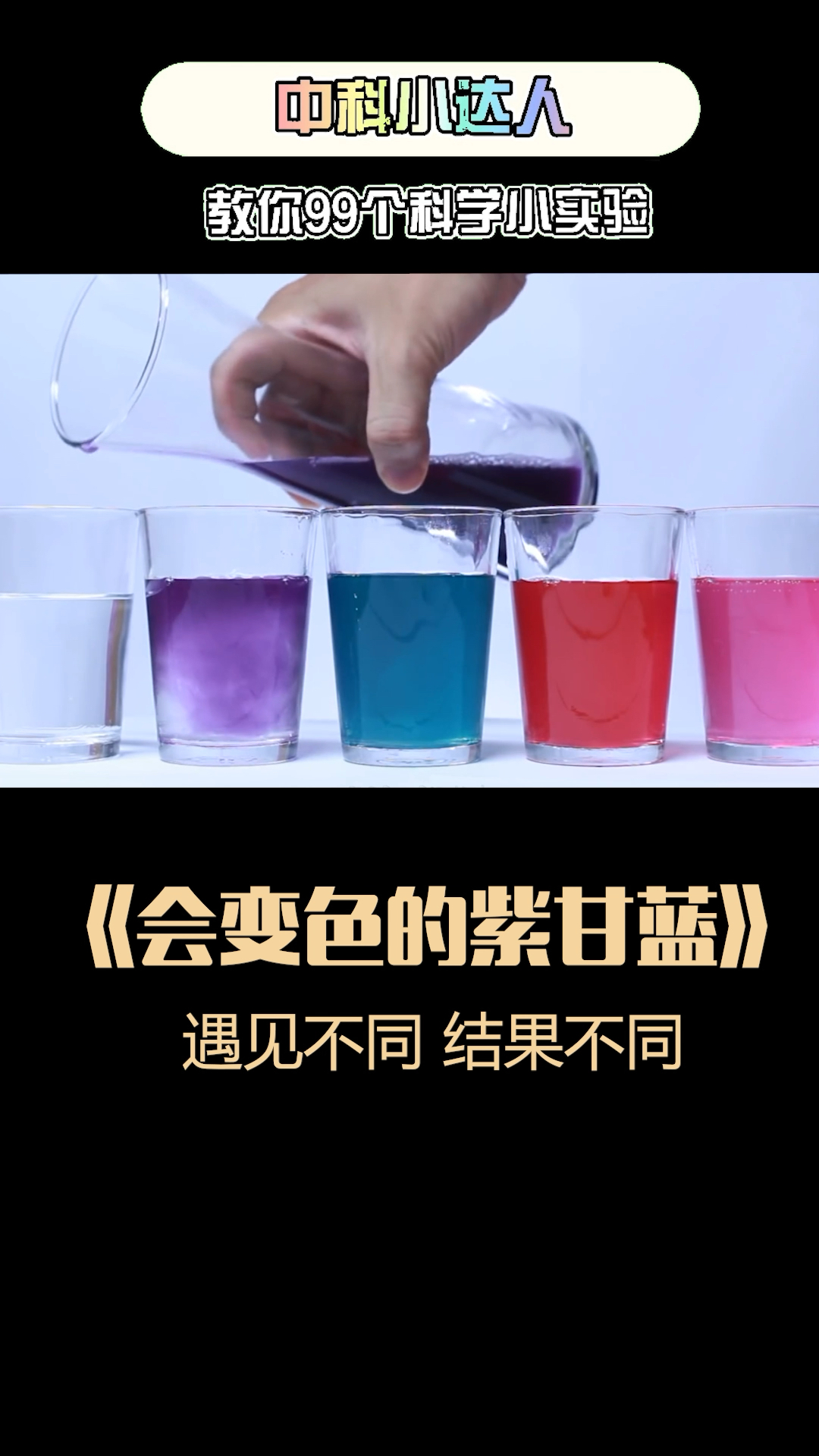 科学小实验超梦幻的紫甘蓝变色实验你喜欢哪一种