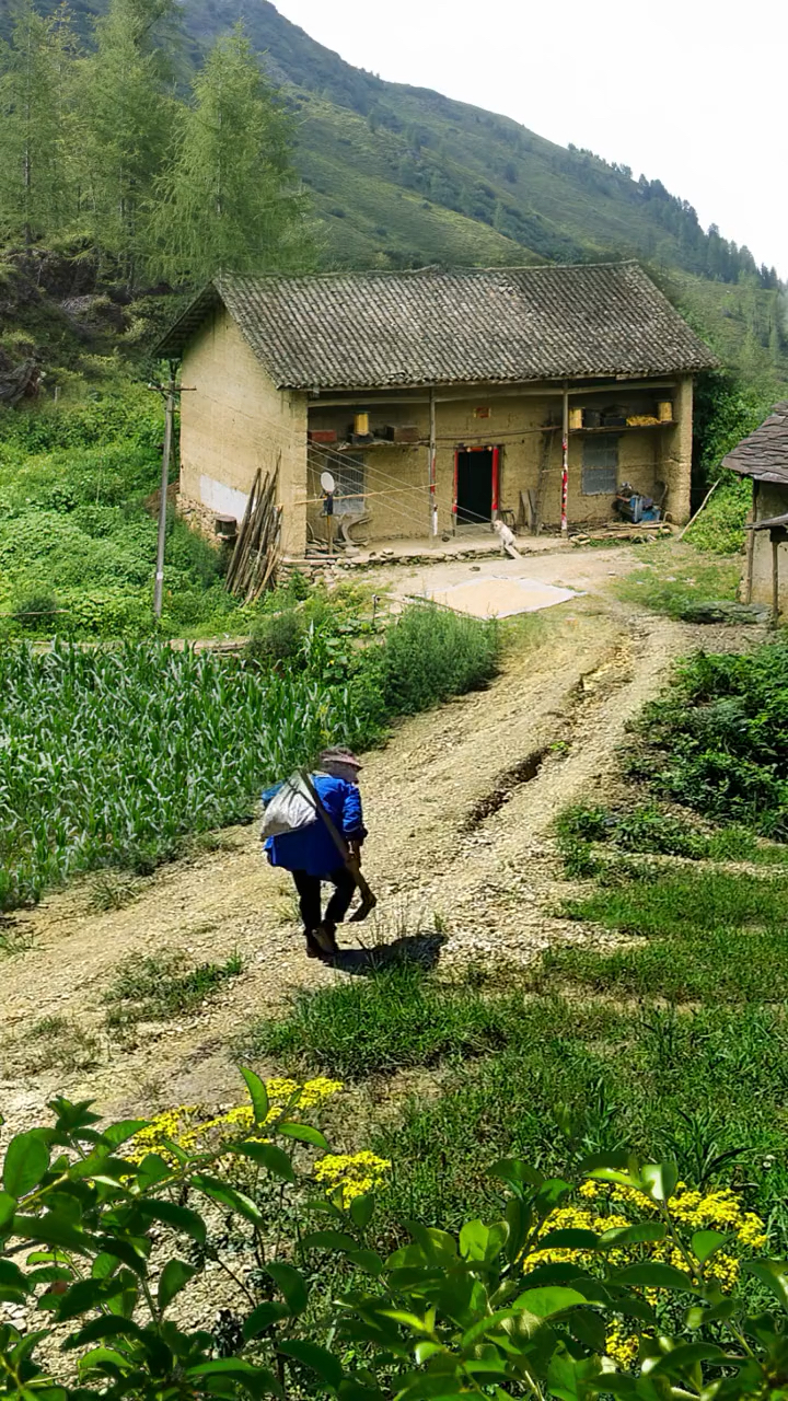 我从小就是这样的地方长大的,我喜欢农村山清水秀,虽然穷了点,但我