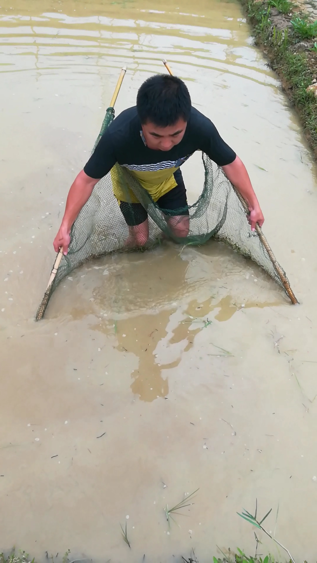 户外抓鱼#浑水捞鱼,儿时的回忆!