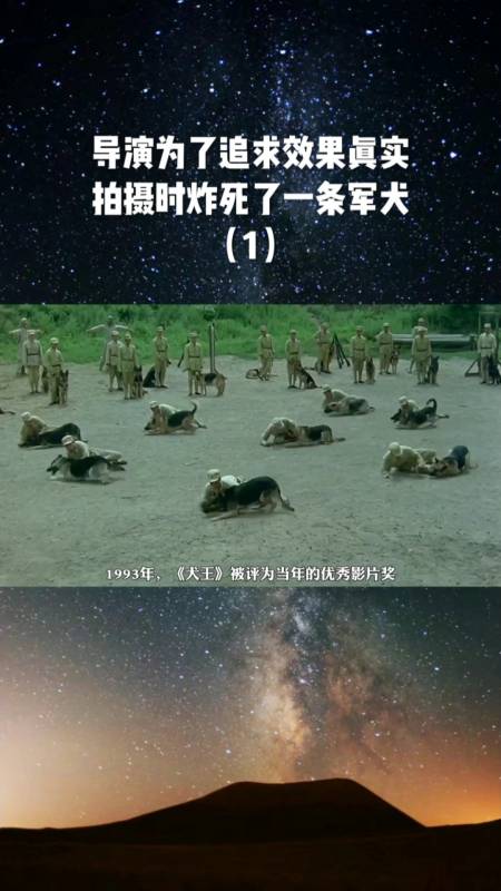 当年导演炸死军犬,被观众骂惨了-度小视