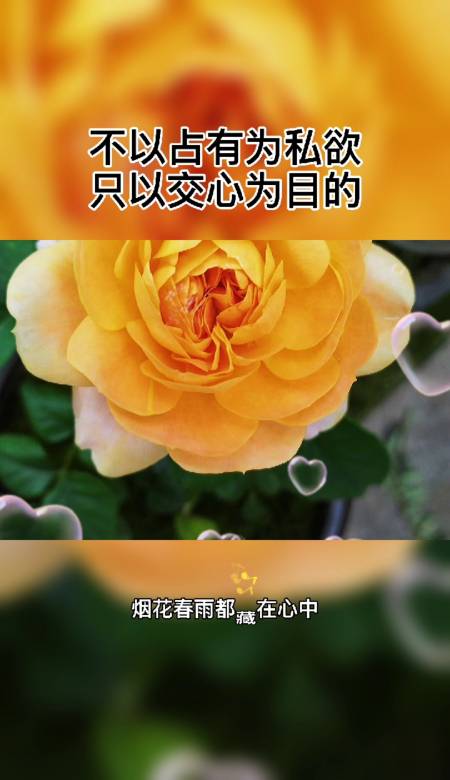 情感#所谓的红颜知己,蓝颜知己,就是那个非常懂你的人!