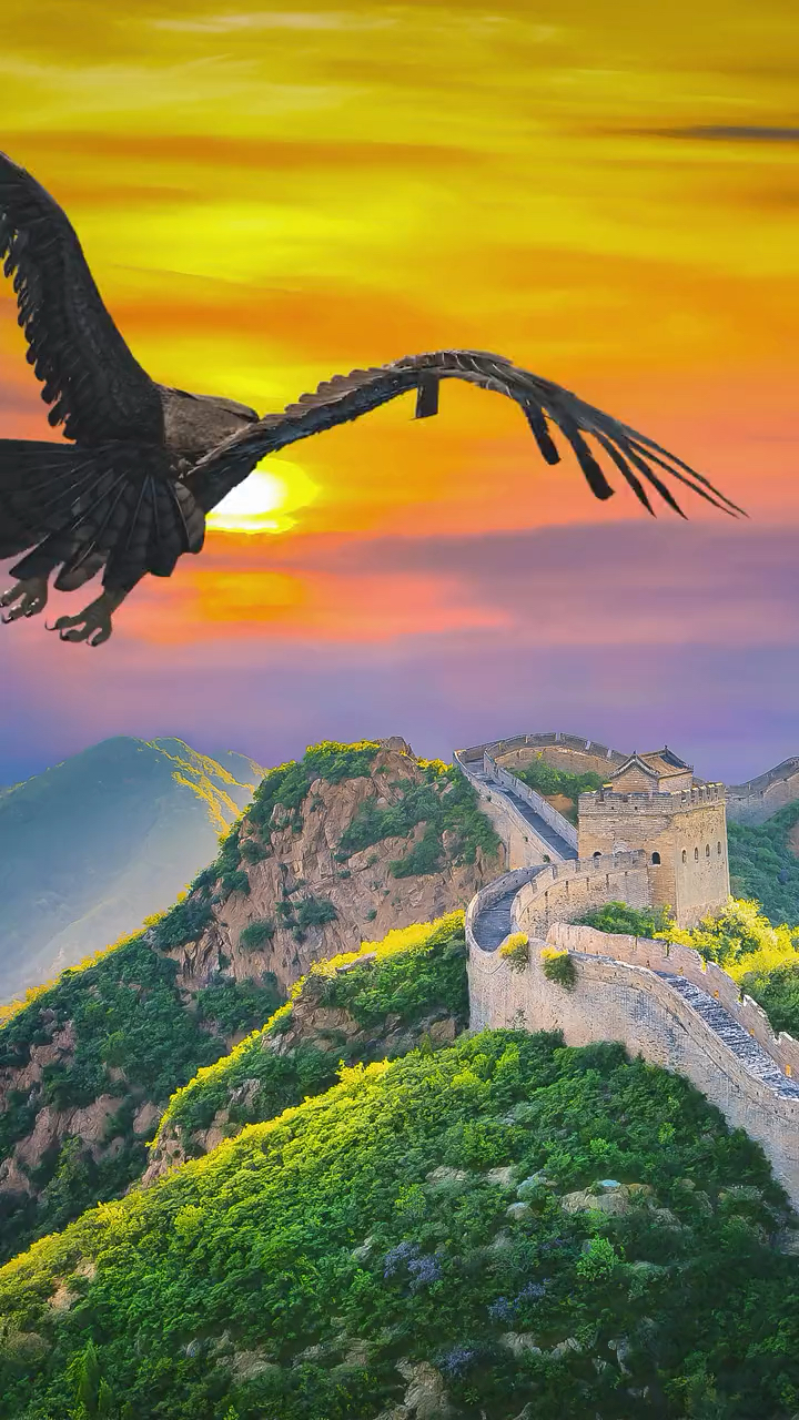 一只草原雄鹰翱翔在古老的长城上空,场面震撼美观!