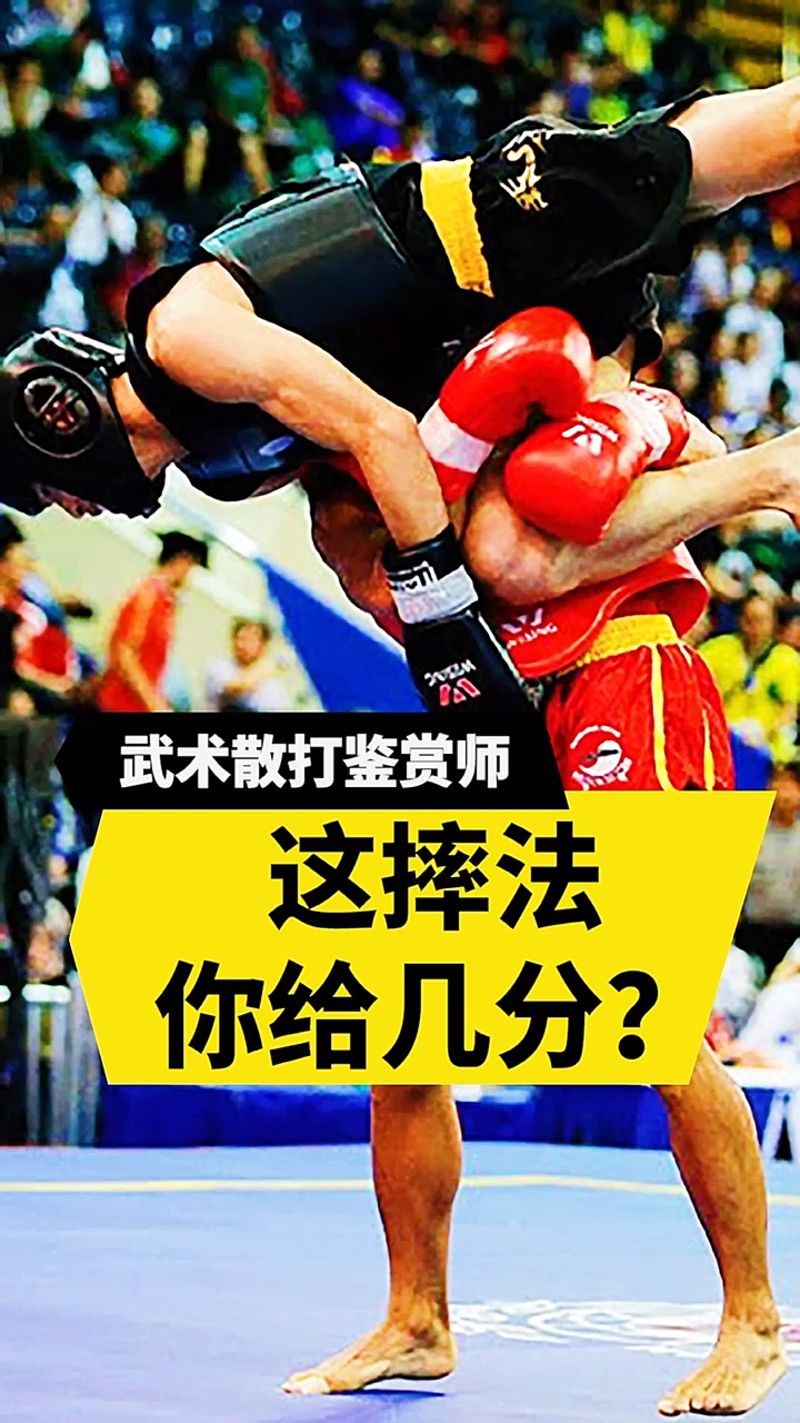散打王#武术散打鉴赏师,这摔法你给几分?
