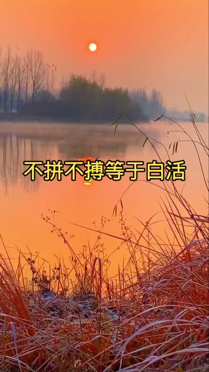 励志正能量#不拼不搏等于白活