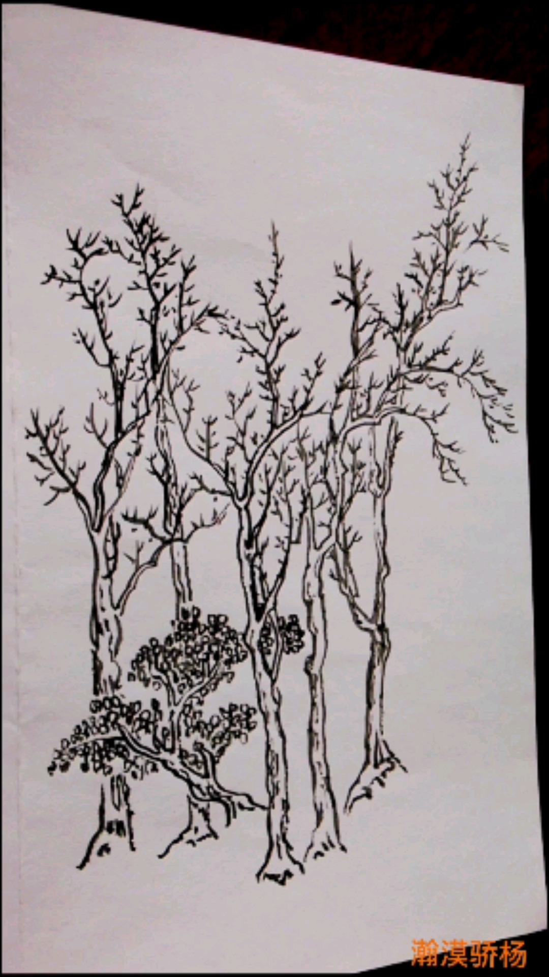 白描#芥子园盛子昭杂树法初临