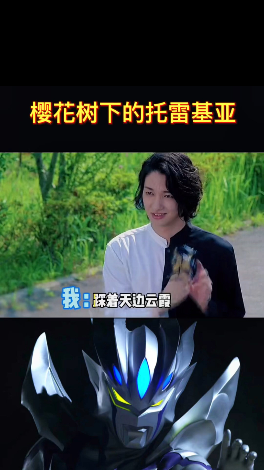 奥特曼樱花树下的托雷基亚
