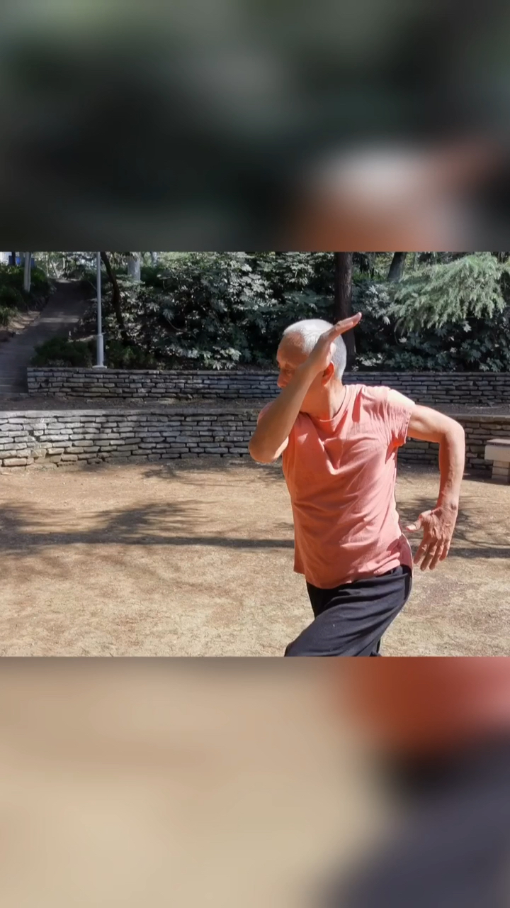 心意拳心意六合拳名家张宁卫老师演示蛇形肘打