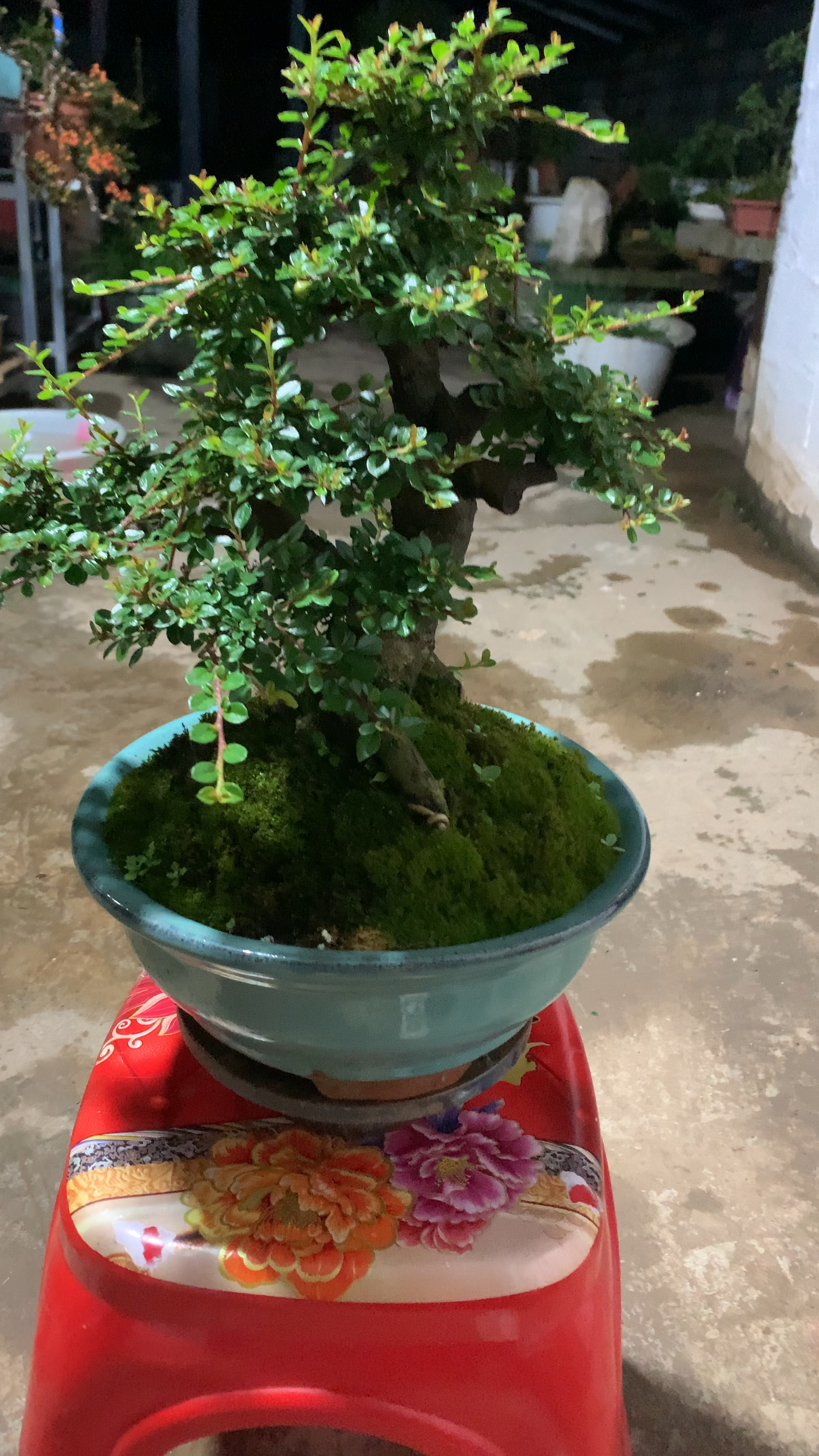 荀子矮霸喜欢双击加关注