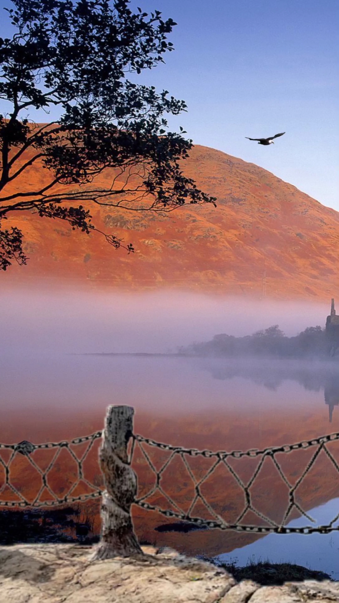 鹰击长空,鱼翔浅底,万类霜天竞自由.怅寥廓,问苍茫大地,谁主沉浮?