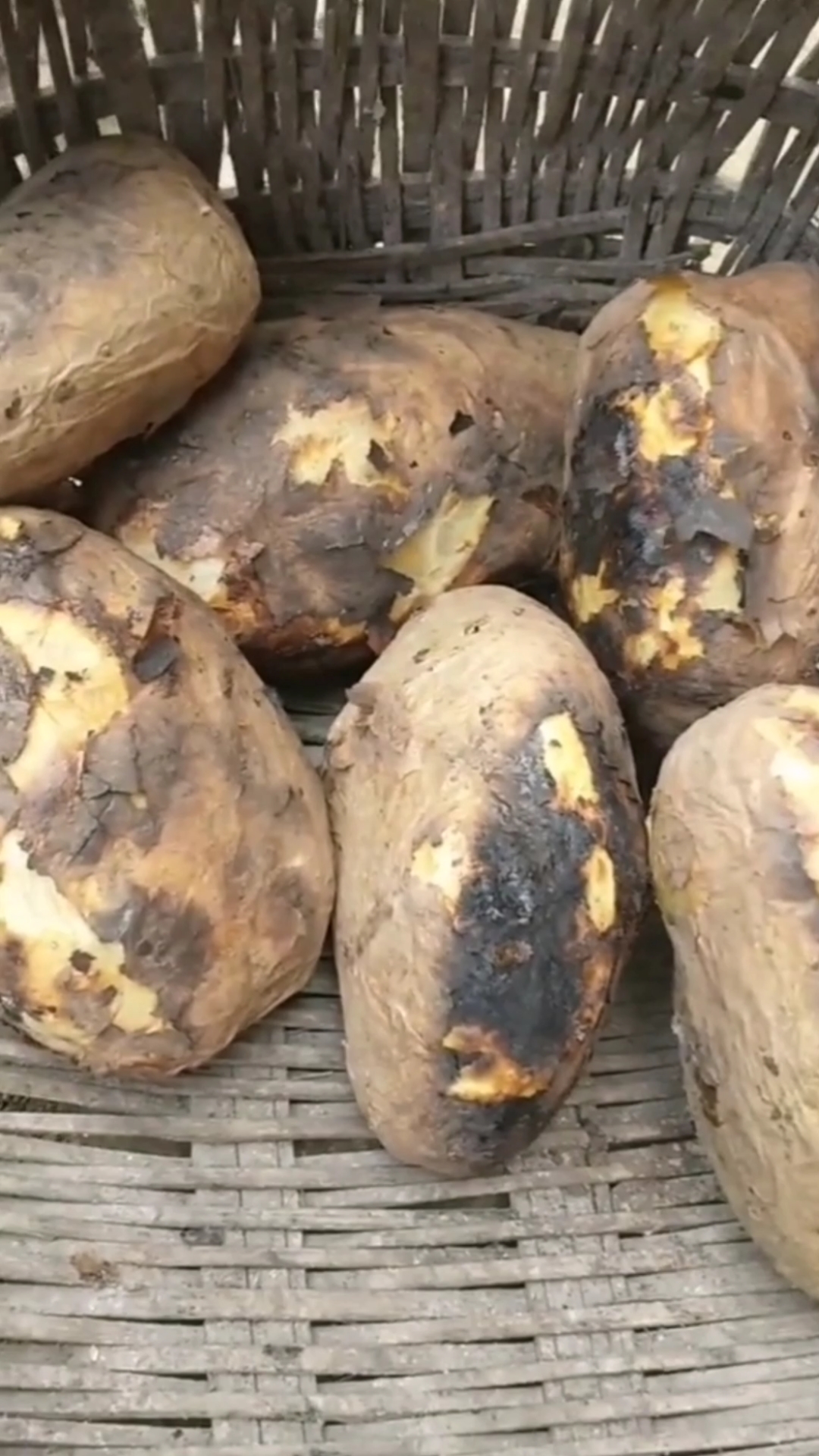 美食#烧洋芋,承载了所有的记忆,简单,灵魂深处的高端食物.