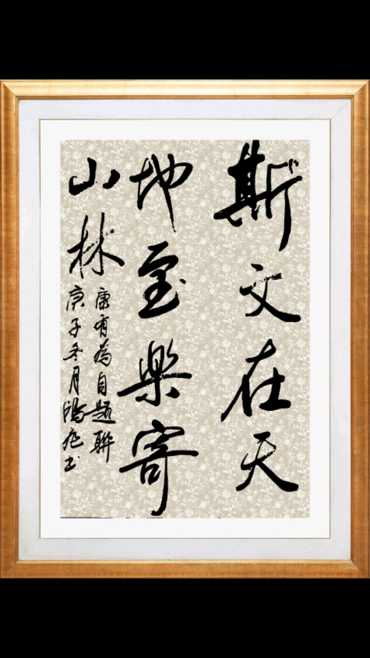 斯文在天地,至乐寄山林