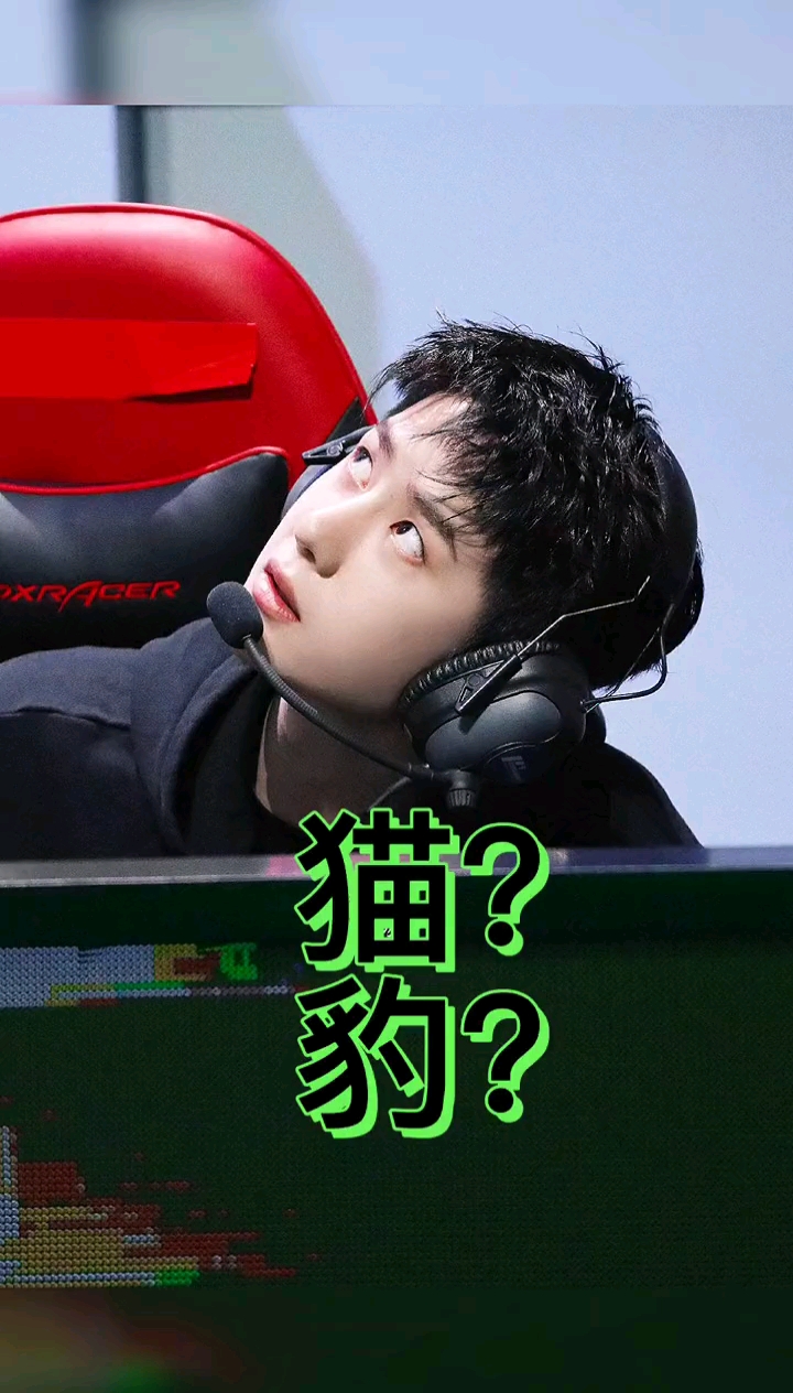 王一博#猫or豹?奶盖or酷盖?