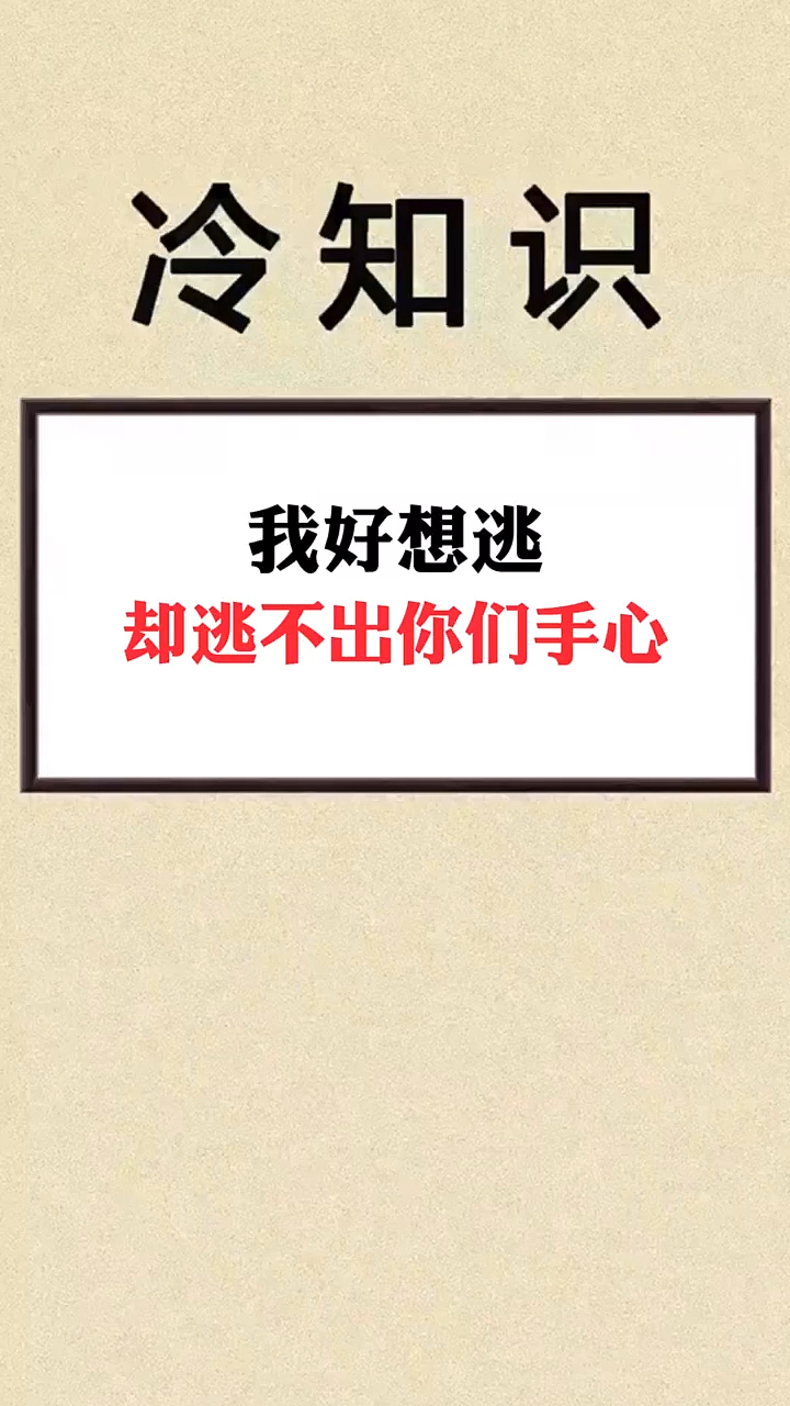 搞笑视频#我好想逃