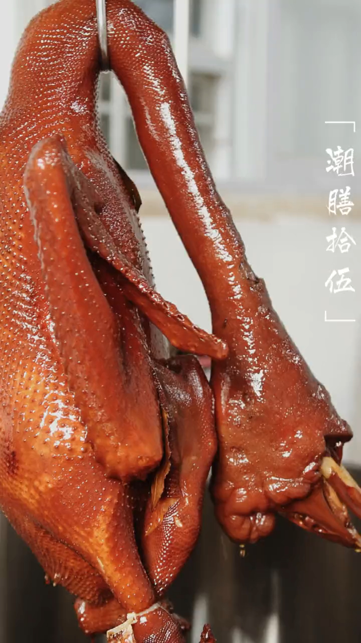 该减肥了#潮汕老狮头鹅(2)