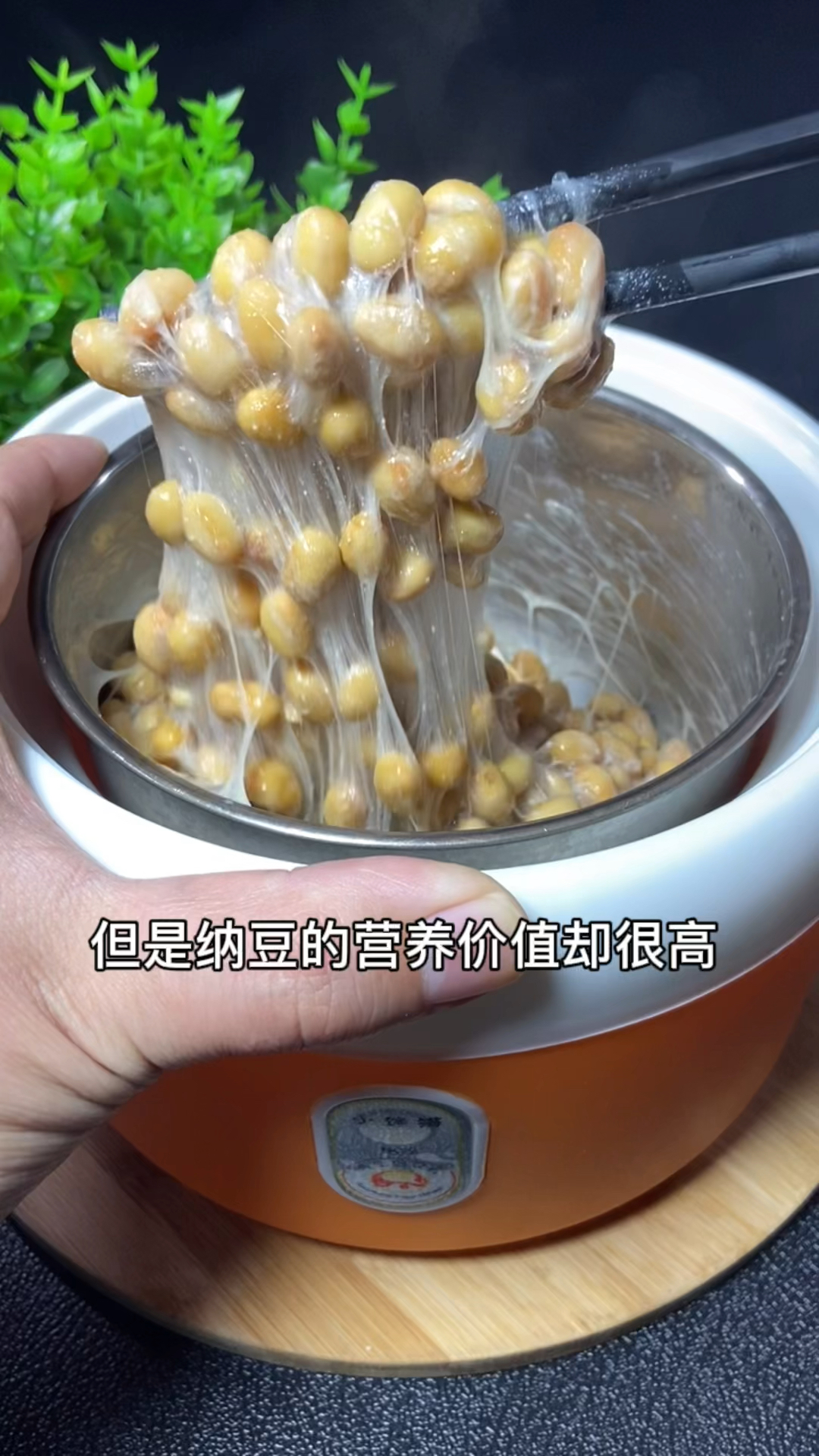纳豆制作方法自己在家像我这样就可以做出拉丝多的纳豆