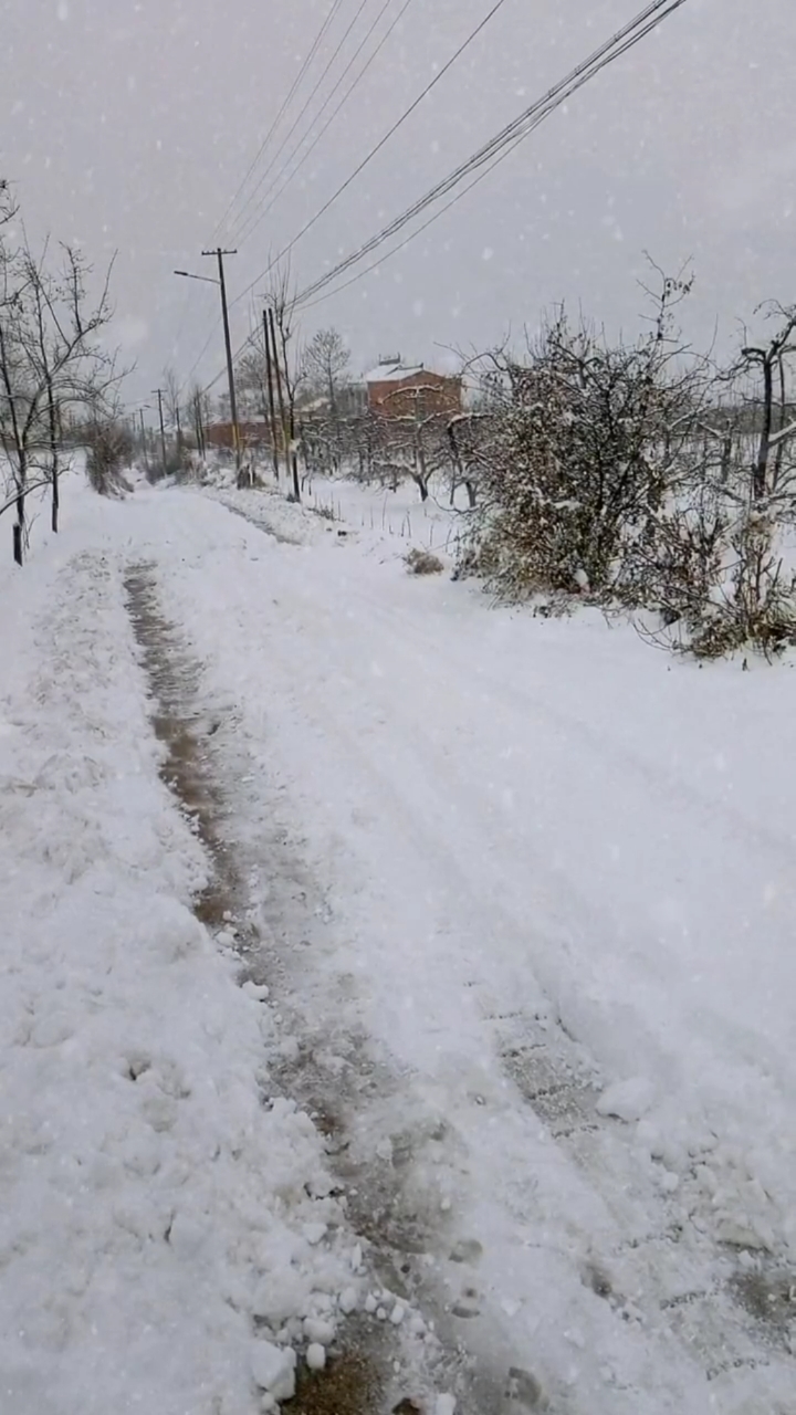 下雪了北方下雪了雪下的好厚想出去玩太难了天天在家里好无聊有没有人