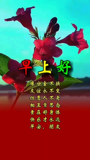 猫咪日记#早上好!缘分金不换