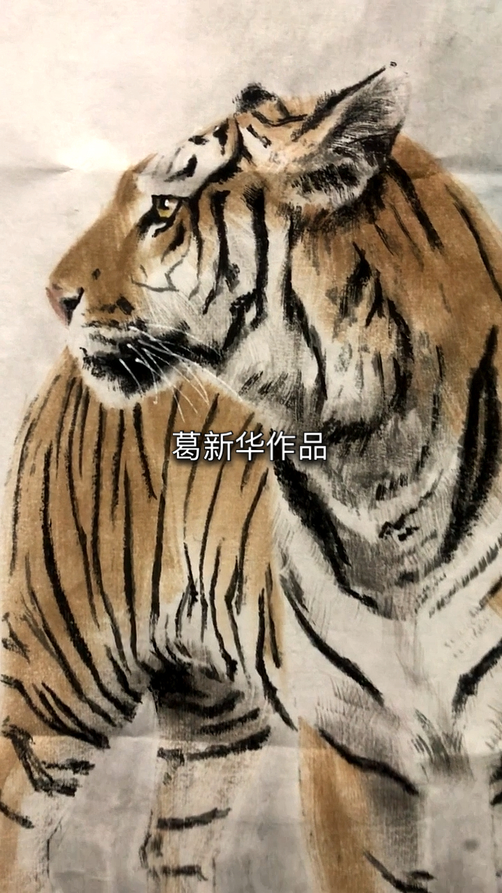 我和春天有个约会#这是一幅斗方虎,葛新华作品